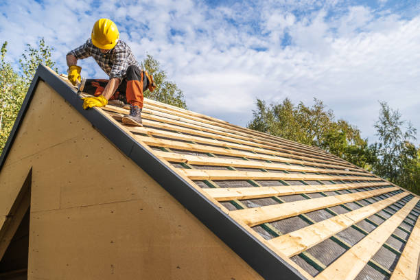 Best Metal Roofing Contractor  in Britton, SD