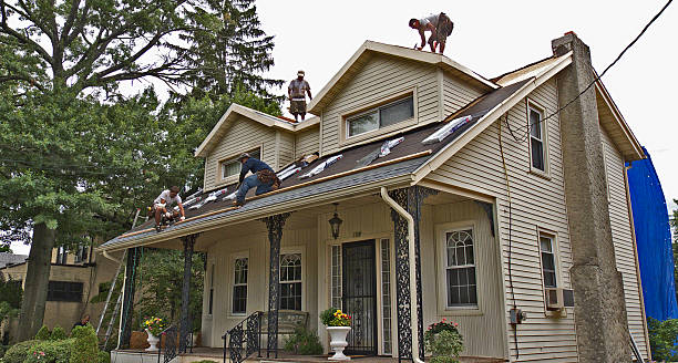 Best Storm Damage Roof Repair  in Britton, SD